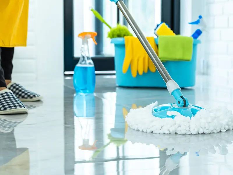 Iris Lawncare Services