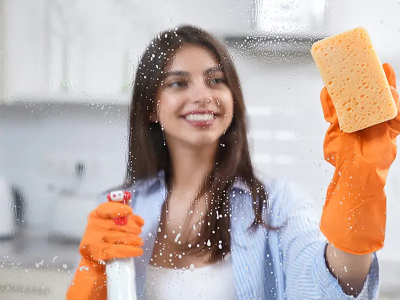 Iris Lawncare Services